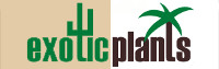 ExoticPlants - Spezialist für exotische Pflanzen in Österreich