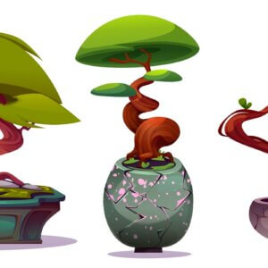 - Bonsai: Schalen und Zubehör