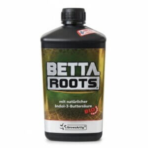 BETTA ROOTS