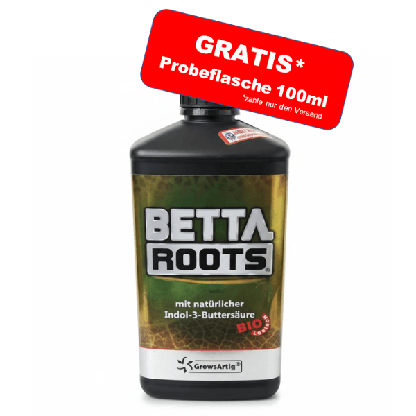 BETTA ROOTS – Bild 3
